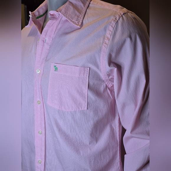 Abercrombie & Fitch Other - Abercrombie & Fitch Pink Dress Button Down Shirt